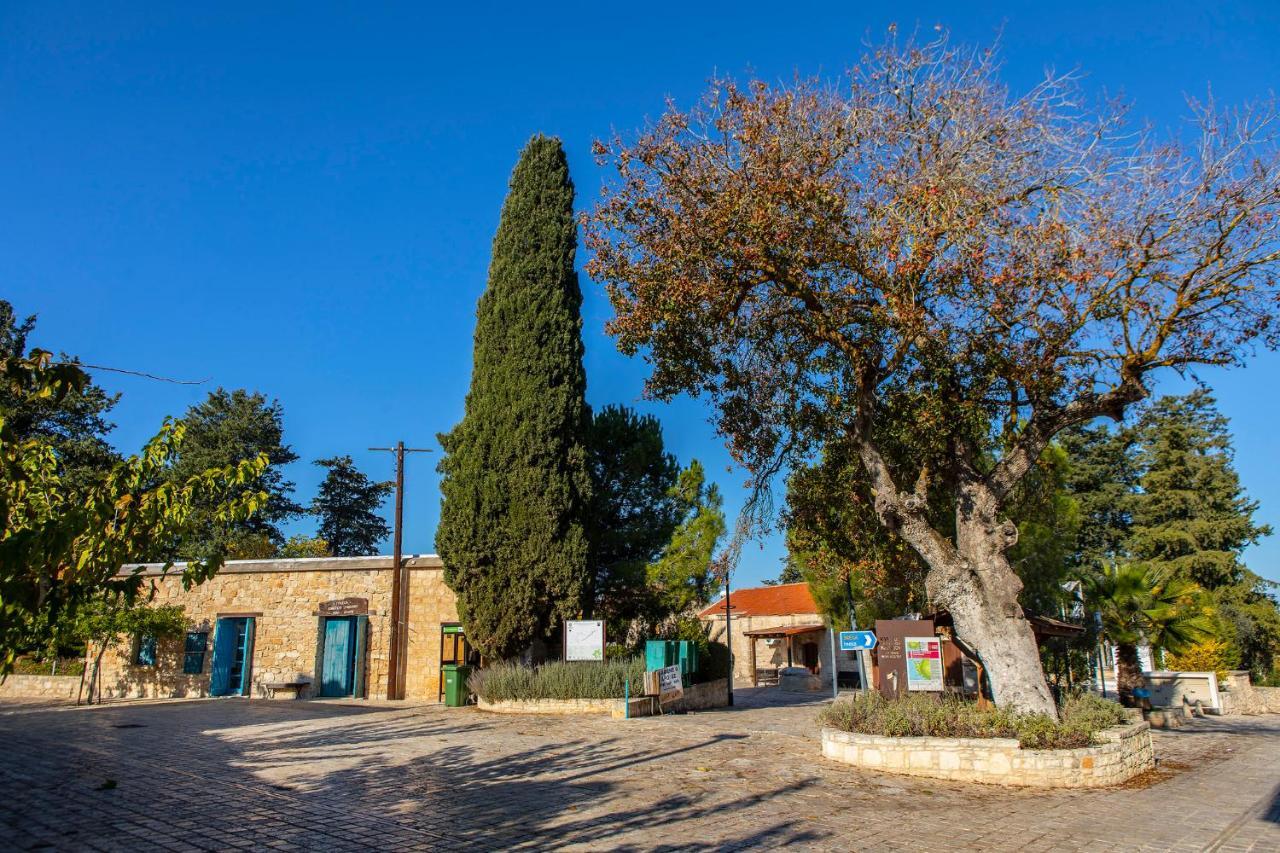Akamantida Platea 1 Vakantiehuis Pano Arodes
